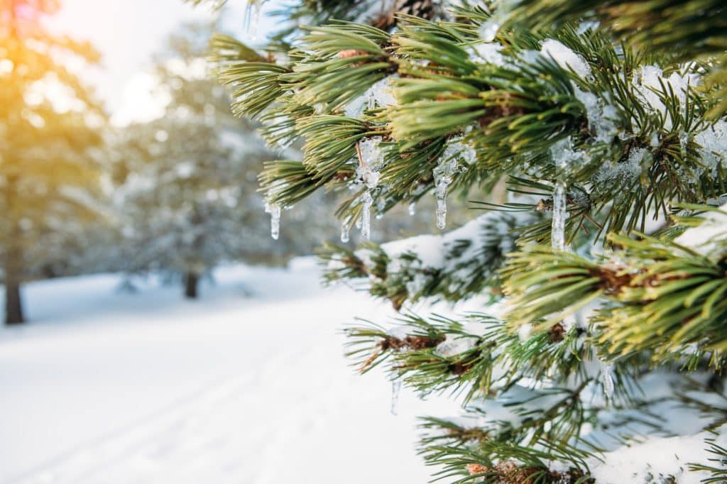 Winterliche Landschaft